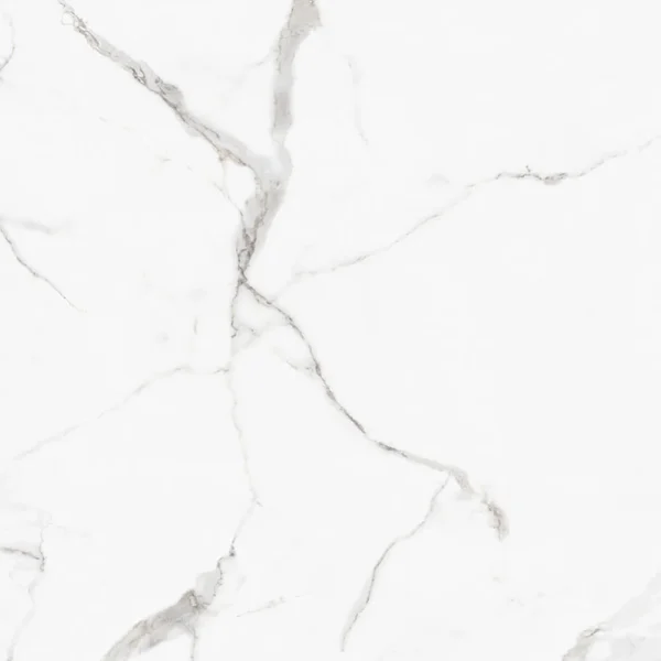 PORCELANATO DAMME PR82002 CALACATA POLIDO 82X82